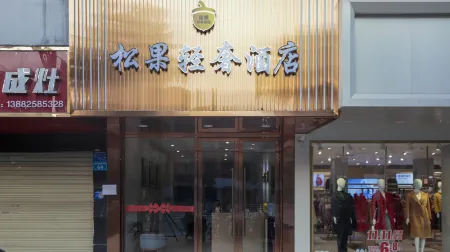 Pinego Light Luxury Hotel Отели в г. Шэхун