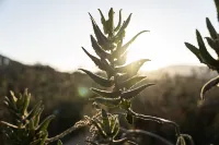 Banyan Tree Veya, Valle de Guadalupe - A Wellbeing & Wine Resort Hotels in Ensenada