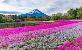 Mt. Fuji View Onsen Ooike Hotel