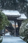 Jingning Yunjian Tingyu Homestay (Yunzhong Daji) - Vuoristonäköala