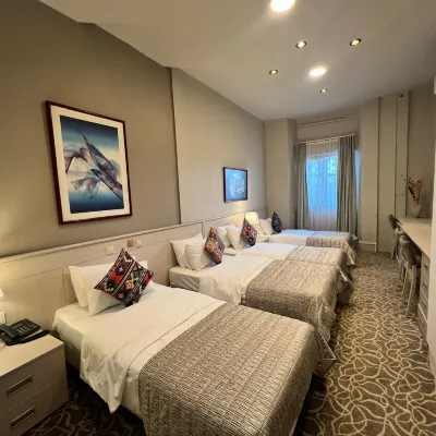 Aria Palace Taksim โรงแรมใกล้สะพานบอสฟอรัส