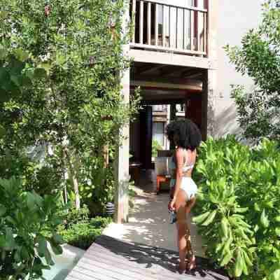 Nerea Tulum Hotel Exterior