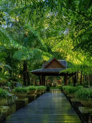 Sanshanyishe·Rainforest Sky Mirror View Hotel