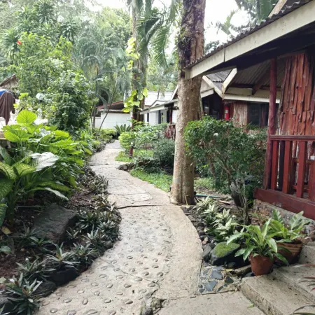 Faye Orchid Resort