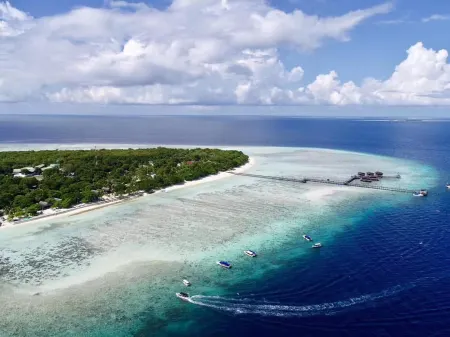 POM POM Island Resort Отели в г. Остров Пом-Пом