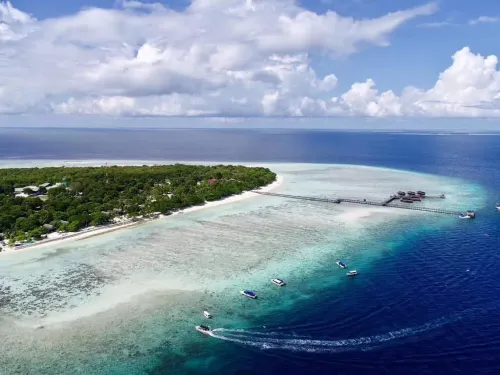 POM POM Island Resort Hotels in Pulau Pom Pom