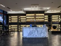 Wanfenglin Baihua Hotel - bar