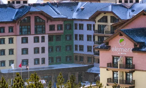 충리 타이우 마을 엘리먼트 호텔