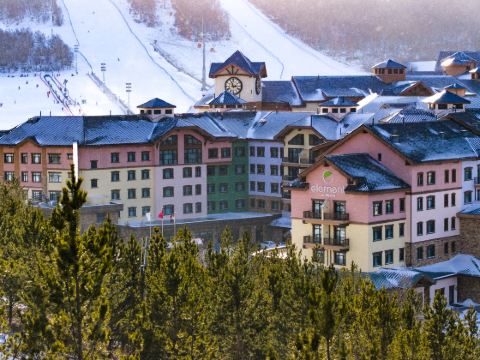 เอลเลเมนต์ ฉงลี