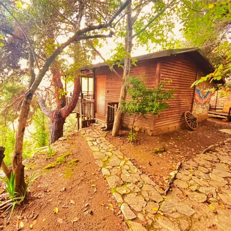 Kybele Nature Life