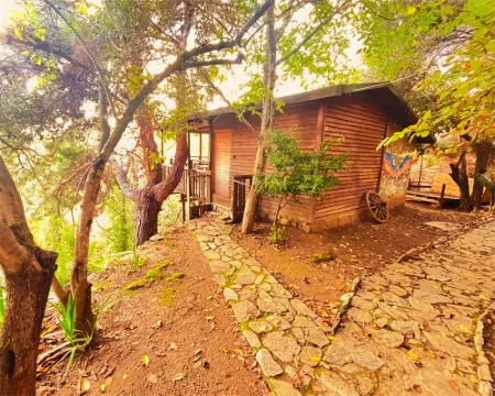 Kybele Nature Life