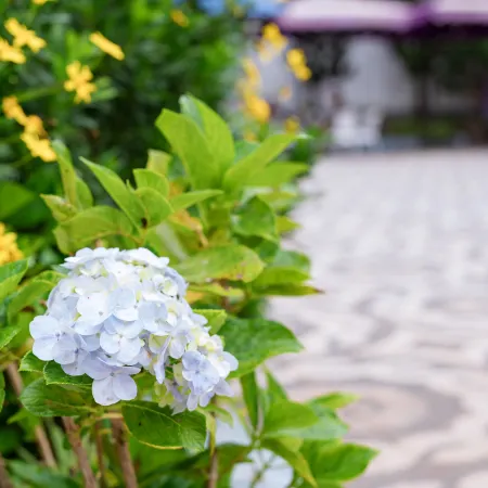 Maro Boutique Villa