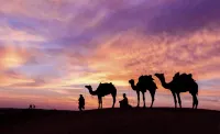 Zhongwei Tengger Desert Star Camping B&B - Campgrounds