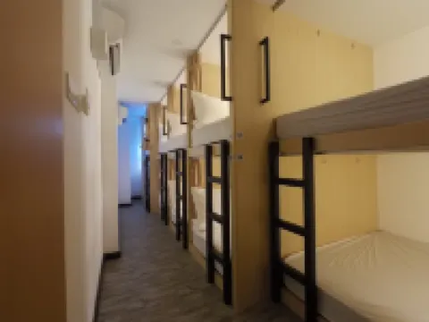 Signel Hostel Hotels in 