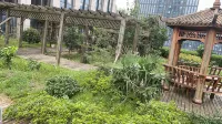 Bojinwan Hotel Jiaxing Hotels in Jiaxing