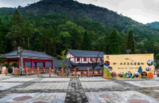 Longquan Qingshan Bufei Inn