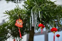 張家界知隱民宿（天門山國家森林公園店）