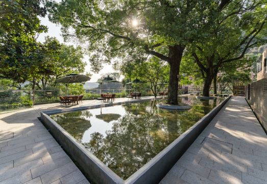 루시먼 리트리트 주변의 녹음이 우거진 용정 차밭 풍경 이미지