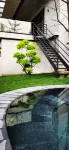 Qingcheng Mountain Suxi Qingshan Forest Homestay - Hot Springs