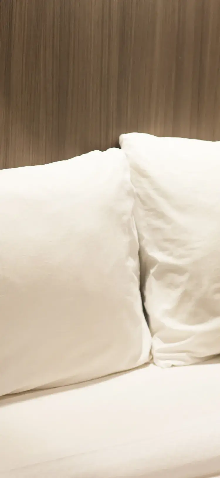 Bed In Double Mixed Dormitory