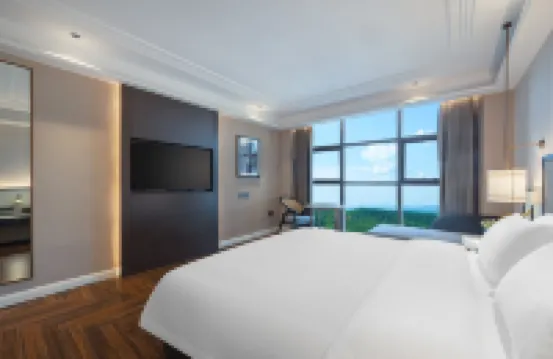 美豪麗致酒店（桂陽縣政府店） 桂陽酒店