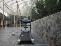 banshan bamboo courtyard - Gym