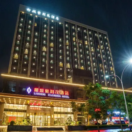 Liucheng Zijinghua Hotel