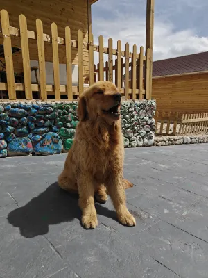 Snowtop Westernmost Lodge · Taxian Photos