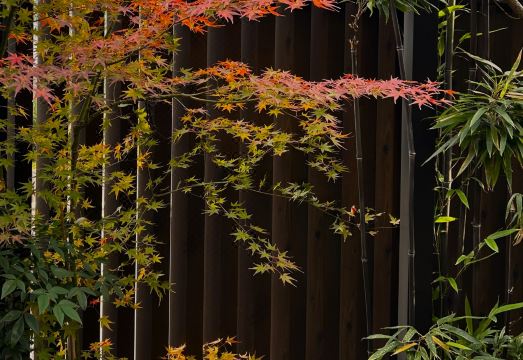 3. 게스트 하우스 ..