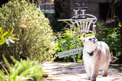 YOOOO·changgong's Meow Garden Hotels near Pingtan Comprehensive Experiment Unit Dongda Passenger Transport Terminal