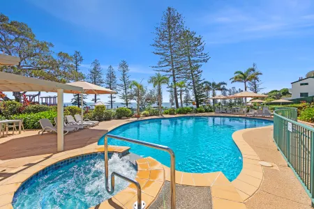 The Norfolks on Moffat Beach