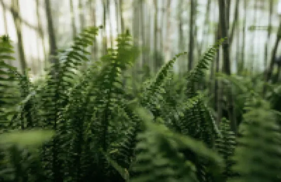 the yard hotel Shanghai