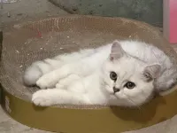 Fanjingshe Inn Hotels in Jiangkou