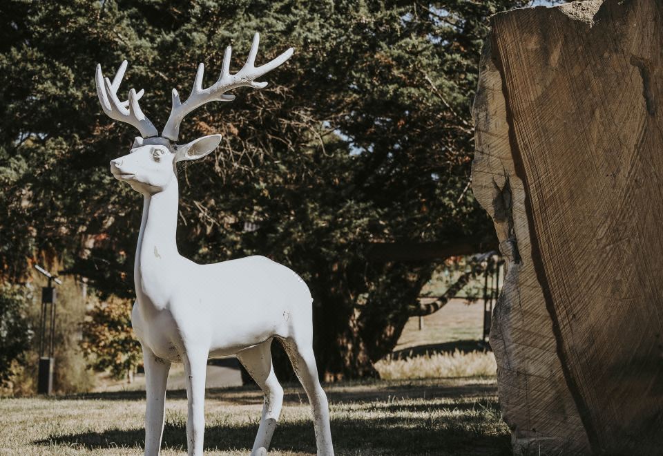 3. 아이언 크릭 베..