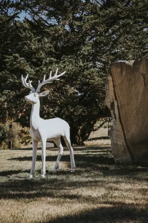 Iron Creek Bay Estate Отели рядом с достопримечательностью «Sorell Fruit Farm»