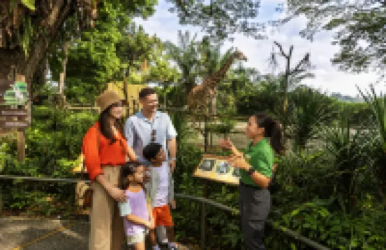 Colugo Camp, Mandai Wildlife EAST