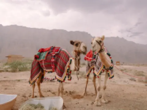 Pura Eco Retreat, Jebel Hafit Desert Park Hotels in Al Ain