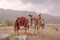 Pura Eco Retreat, Jebel Hafit Desert Park