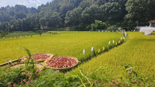 Impression Wuyuan Theme Hotel