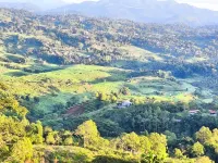 MJR Ticketing Guest House - Homestays