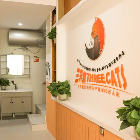 Three Cats Hostel (Xining Lower Nanguan Street)