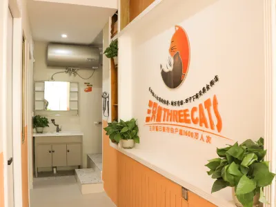 Three Cats Hostel (Xining Lower Nanguan Street) 황광-둥관 청진대사 호텔
