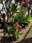 Villa Sol y Mar ideal for groups families golfers - 빌라
