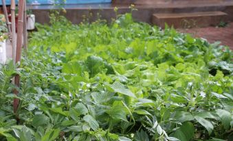 Zhangbei Mingshi Farm Stay