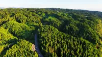 Yupingshan Forest Hotel