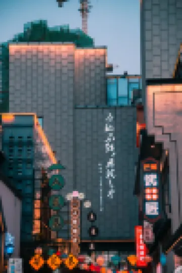 Lis Future Hotel (Baohe Wanda)