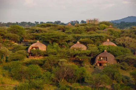 Serengeti Serena Safari Lodge Отели в г. Серенгети