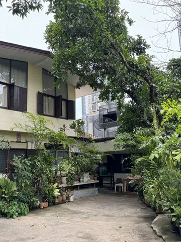 รูปภาพของเมนี่ทรี โฮสเทล