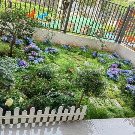 Spring Joy Homestay