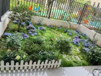 Spring   Joy   Homestay